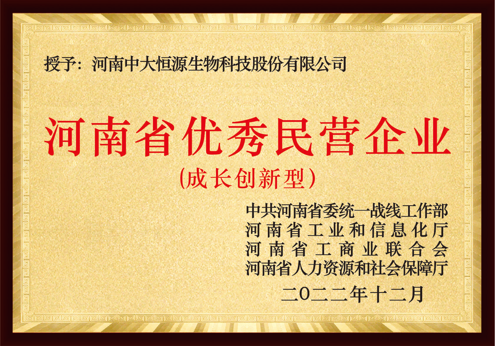 河南省优秀民营企业